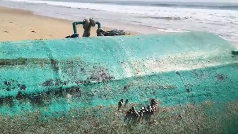 समुद्र तट पर बहकर आया लोहे का रहस्यमयी विशाल टुकड़ा, लिखा है- ‘AMS 6’, देखिए VIDEO