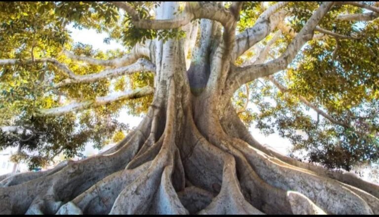 डिजिटल युग में बाइबल आधारित सशक्त विश्वासियों की आवश्यकता